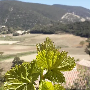  Appartement Eco Dans Les Vignes
